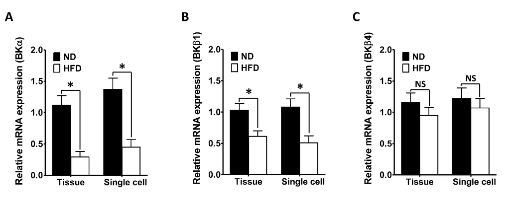 The mRNA levels of the Kcnma1 and Kcnmb1 are significantly reduced in the DSM of HFD rats. The relative mRNA levels of Kcnma1 (A), Kcnmb1 (B) and Kcnmb4 (C) in DSM layers (Tissue) and isolated DSM cells (Single cell) were lower in the HFD group than in the ND group. Data are expressed as the mean ± SEM. Tissue: n = 16, N = 5 per group; Single cell: n = 16 (the number of strips to isolate cells), N = 5 per group. * P NS: not significant.