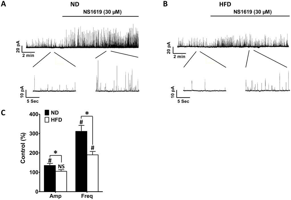 NS1619-induced STOCs are significantly attenuated in HFD DSM cells. Original recordings illustrating the effects of 30 μM NS1619 on STOCs in ND. (A) and HFD (B) DSM cells. (C) Summary data illustrating the differences in STOCs in the presence and absence of 30 μM NS1619 in ND and HFD DSM cells. Data are expressed as the mean ± SEM; n = 7, N = 5 per group; * P 