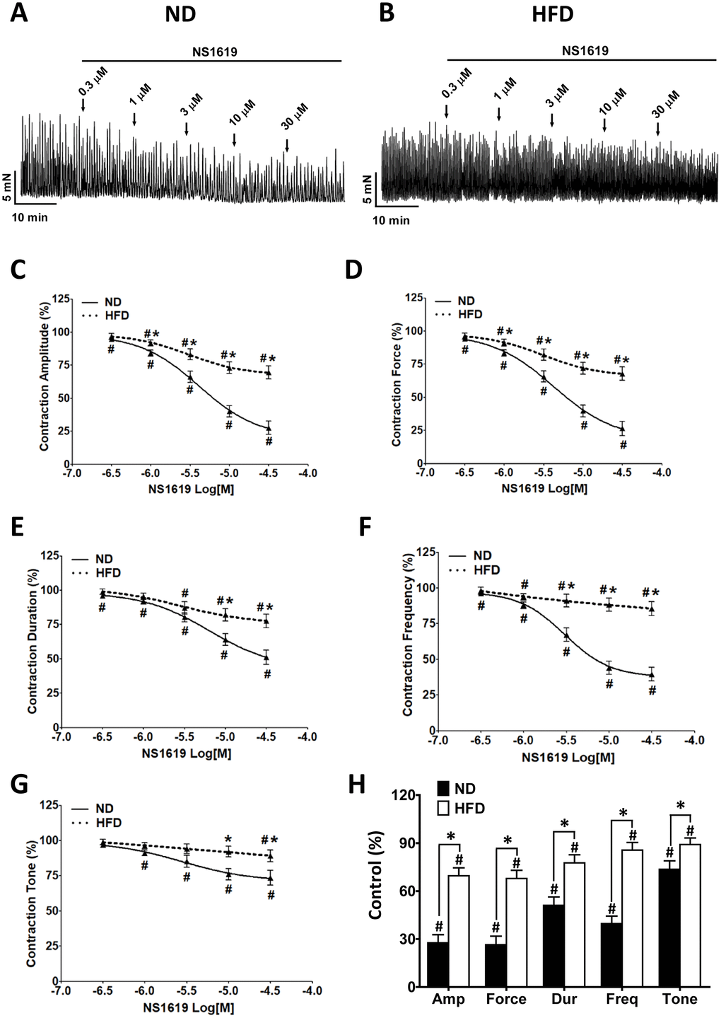 The inhibitory effects of NS1619 on spontaneous phasic contractions are attenuated in DSM strips from HFD rats. Representative recordings of DSM strips isolated from ND (A) and HFD (B) rats, illustrating the concentration-dependent inhibitory effects of NS1619 (0.3-30 μM) on spontaneous phasic contractions. Cumulative concentration-response curves illustrate the effects of NS1619 on the amplitude (C), muscle integral force (D), duration (E), frequency (F) and tone (G) of spontaneous phasic contractions in ND and HFD DSM strips. (H) Summary data illustrating that the inhibitory effects of 30 μM NS1619 on spontaneous phasic contractions in isolated DSM strips were lower in HFD rats than in ND rats. Data are expressed as the mean ± SEM; n = 11, N = 8 in the ND group, n = 11, N = 7 in the HFD group; * P NS: not significant; Amp: amplitude; Dur: duration; Freq: frequency.