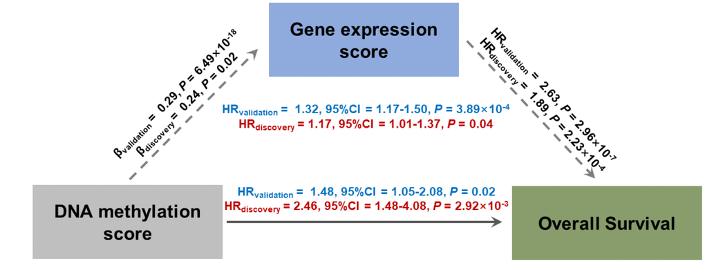 Direct and indirect effects of DNA methylation on lung adenocarcinoma survival mediated through gene expression in casual mediation analysis. DNA methylation risk score (MRS) and gene expression risk score (GRS) were calculated by linear combination with a weighted ln(HRadjusted) of identified probes.