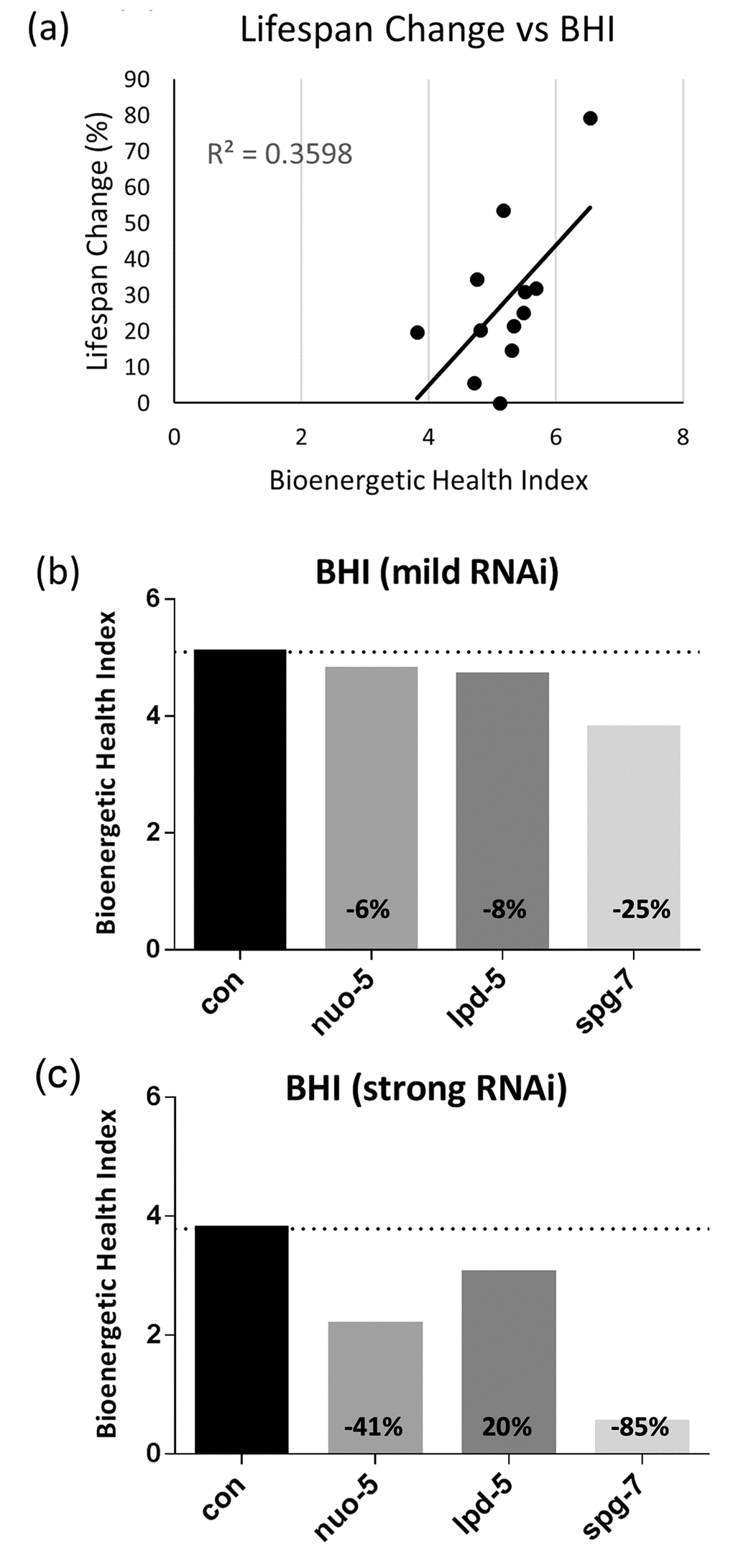 Bioenergetic Health Index (BHI) calculation and correlation with lifespan extension. BHI either (a) plotted against % increase in mean lifespan for all tested RNAi; or (b) calculated for mild (parental generation) and (c) strong (first generation) RNAi-mediated suppression of nuo-5, lpd-5 and spg-7. % decrease of BHI compared to control is shown on the corresponding bar.