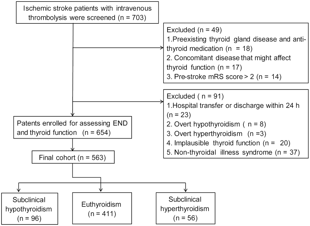 Flow chart of patient inclusion.