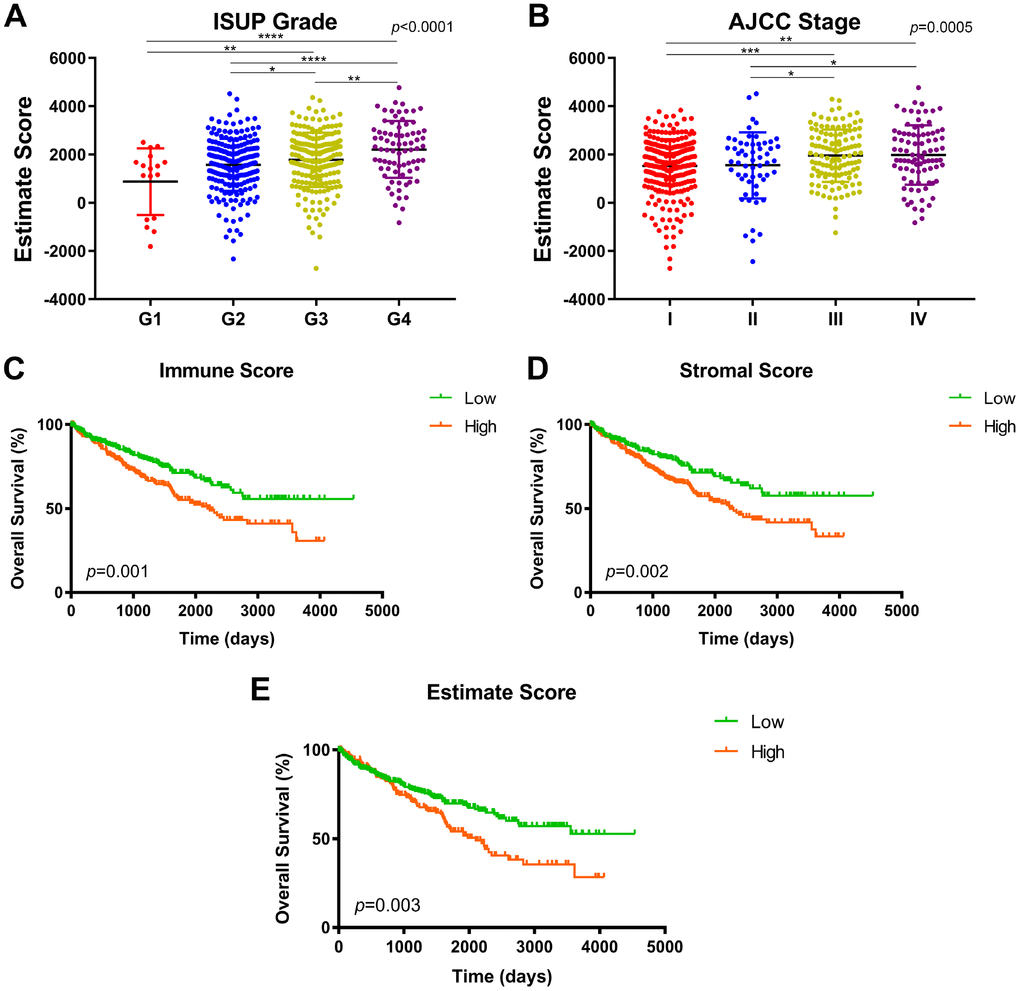 Association between immune/stromal/Estimate score and prognosis in TCGA after ESTIMATE algorithm processed. (A–B) Estimate score was significantly associated with higher ISUP grade and AJCC stage (pC) Survival curves indicated that elevated immune score significantly correlated with poor overall survival in 533 ccRCC patients (p=0.001, 1165 vs. 1217 days). (D) Increased stromal score significantly associated with shorter OS (p=0.002, 1117.5 vs. 1230 days). (E) Significant Estimate score also predict significant OS for ccRCC patients (p=0.003, 1172.5 vs. 1223.5 days).