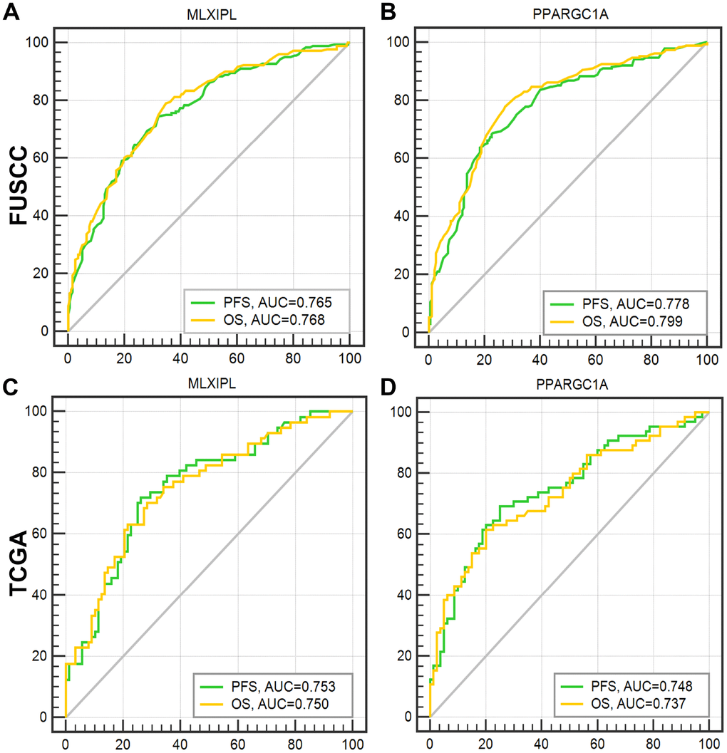 ROC curves were generated to validate the ability of the logistic model to predict prognosis. After integrating all the significant clinicopathological parameters and gene expression profiles in the multivariate Cox regression models of FUSCC cohort, we generated the formulas for MLXIPL and PPARGC1A to predict prognosis in FUSCC cohort, and validated prognostic ability in TCGA cohort.