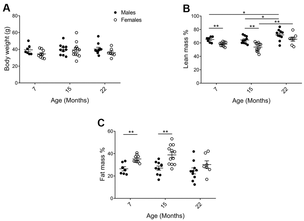 Physiological parameters of mice in the cohorts for behavioral assessment. (A) There was no difference in body weight between the cohorts, but (B) DEXA analysis showed that (pM7-F7=0.0078, pM15-F15=0.0011; and lean mass increased with age in males pM7-22=0.040, pM15-22=0.036; Mann Whitney), whereas (C) females exhibited increased fat mass as compared to males (pM7-F7=0.0023, pM15-F15=0.0012; Welch’s t-test). Values are mean ± SEM; nM=7, nM15=10, nM22=10, nF7=9, nF15=12, nF22=7.