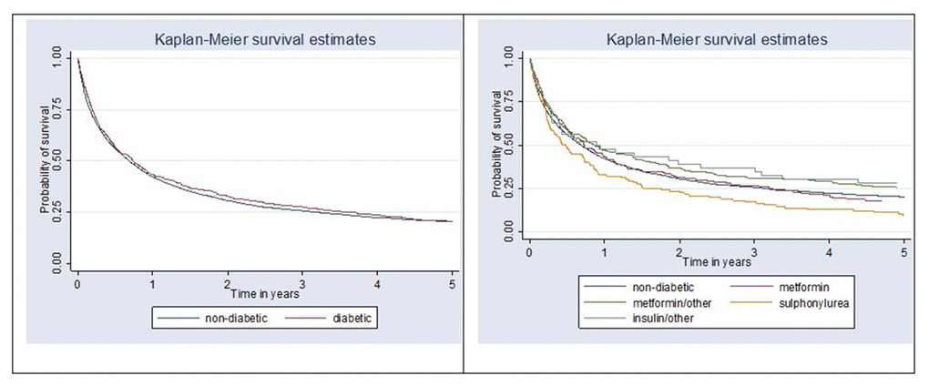 Kaplan-Meier survival curve comparing overall survival between non-diabetic and diabetic patients (p = 0.89) and by antihyperglycemic medication user group (p = 0.052).