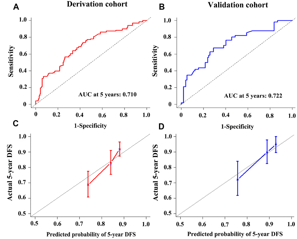 Time-dependent receiver operating characteristic curves at 5-years based on the miRNA-based prognostic model in the derivation cohort (A) and validation cohort (B). Calibration curves of the miRNA-based prognostic model in the derivation cohort (C) and validation cohort (D).