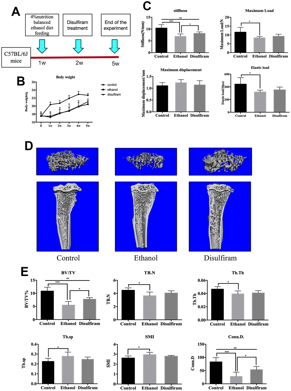 Disulfiram rescues alcohol-induced bone loss and reduction in bone mechanical strength in mice. (A) Schematic representation of the animal model. (B) Body weights of mice. (C) Mechanical properties (ultimate stiffness, maximum load, elastic load, and maximum displacement) of femurs. (D) Representative 3D micro-CT reconstruction images of mice in the control, ethanol, and disulfiram groups. (E) Quantitative analyses of morphometric parameters of the bone volume to tissue volume (BV/TV, %), trabecular number (Tb.N), trabecular thickness (Tb.Th), trabecular spacing (Tb.Sp), trabecular connectivity density (Conn.D), and the structure model index (SMI) of the regions of interest (n = 6). Bar graphs are presented as the mean ± SD. *p p p 