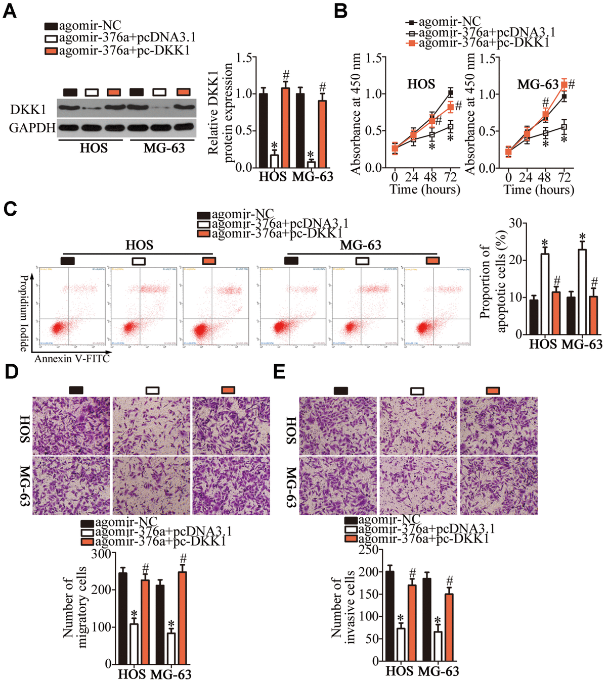 Long Noncoding RNA TTN-AS1 Enhances The Malignant Characteristics Of ...