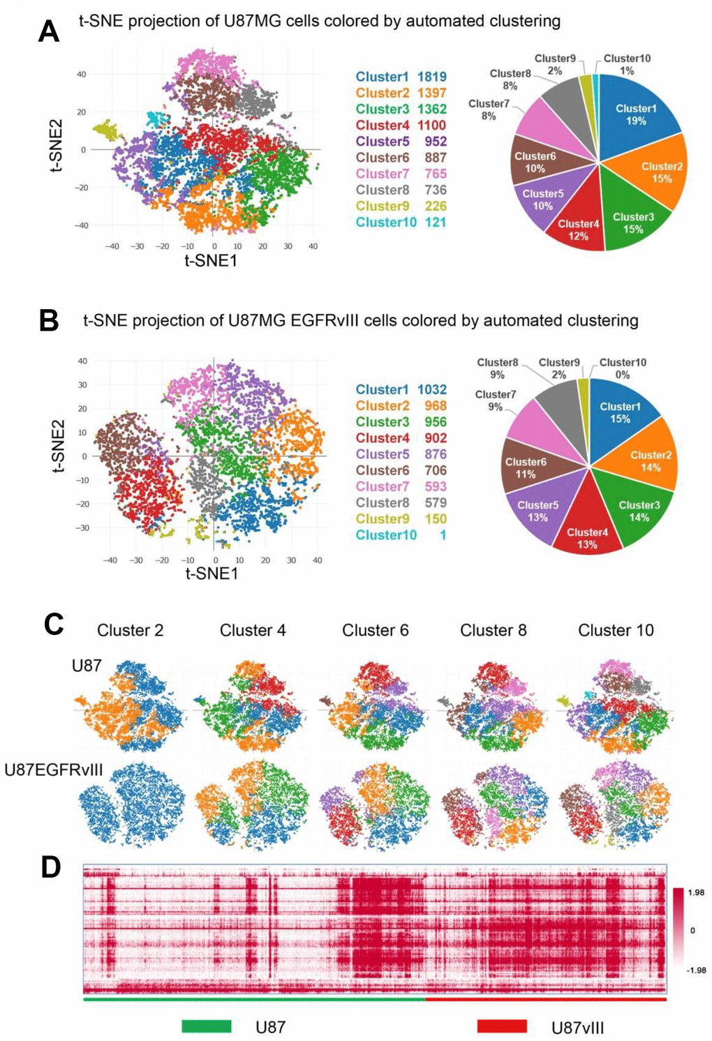 Single-cell analyses of U87MG and U87MG-EGFRvIII cells. U87MG-EGFRvIII cells were less heterogeneous than U87MG cells. (A) Clustering analyses reveal ten subsets with cluster-specific genes and functions. The pie chart shows the percentage of each cluster. (B) The clustering results of U87MG-EGFRvIII cells (k=10) and the percentage of each cluster. (C) The clustering results with k values from two to ten. (D) The heatmap shows the gene expression of every single cell.
