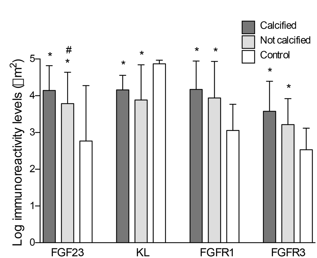 Differences in the log-transformed immunoreactivity levels of FGF23, Klotho, FGFR1 and FGFR3 attending to the presence of calcification. *P