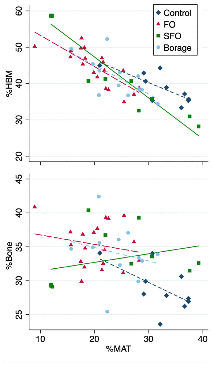 Associations of total tissue volume percentages of marrow adipose tissue (%MAT) vs hematopoietic bone marrow (%HBM, upper panel) and %bone (lower panel) in the four test diet groups.