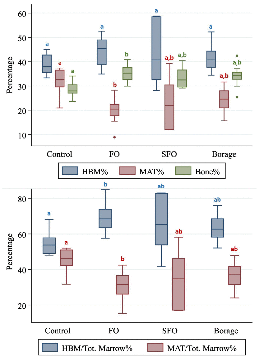 Hematopoietic bone marrow (HBM%), marrow adipose tissue (MAT%) and Bone (Bone%) volume fractions (Upper panel) and total marrow volume fractions of HBM and MAT compared between four nutritional groups (Control; fish oil [FO], sunflower oil [SFO] and borage oil groups). Groups with different letter markers are significantly different after adjusting for multiple comparisons (p