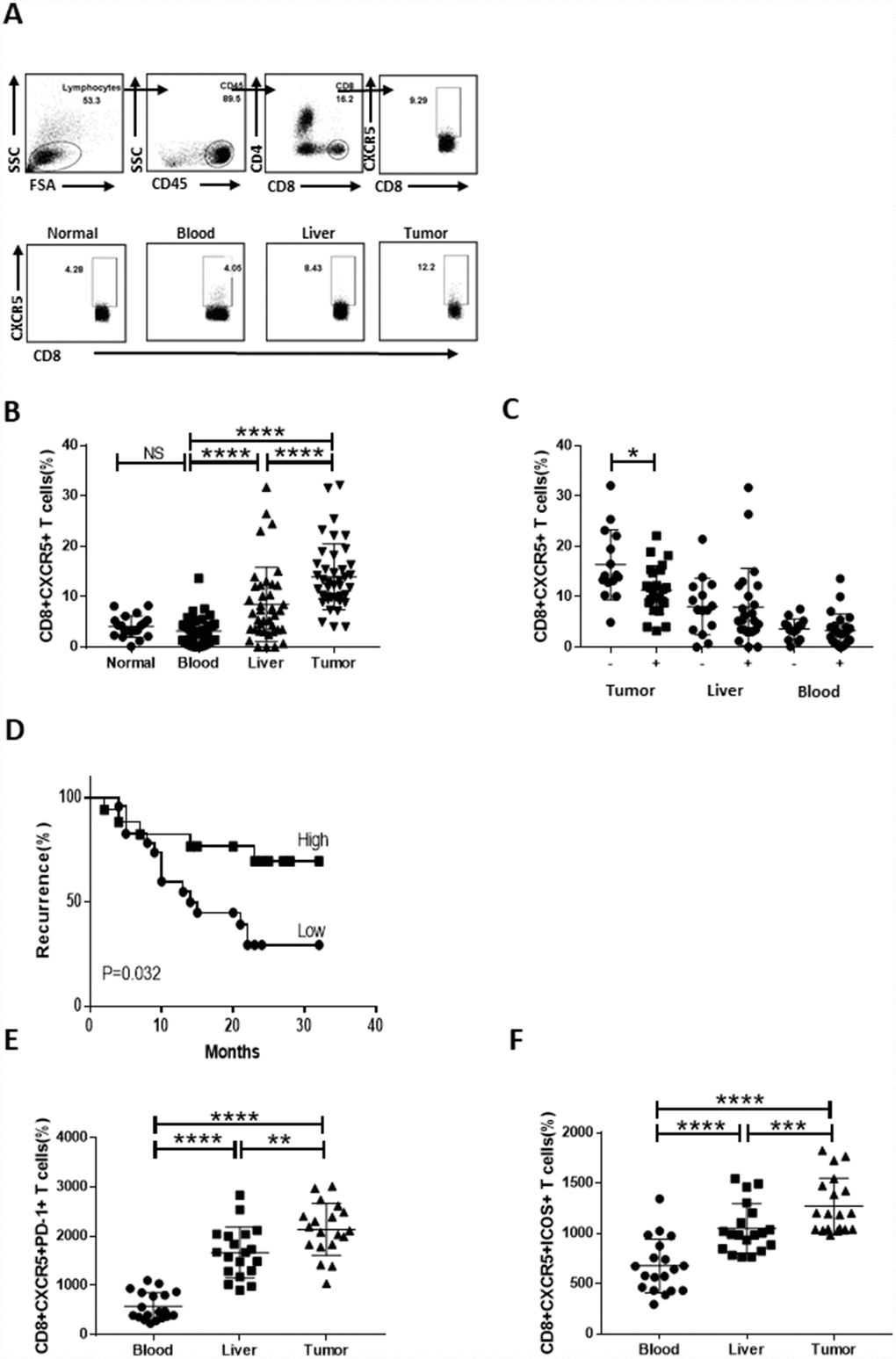 Strong infiltration of CD8+CXCR5+ T cells into HCC tumors predicts a better prognosis. Fresh samples were stained with anti-CD8, anti-CXCR5, anti-PD-1 and anti-ICOS antibodies. (A–B) Following gating of CD8+ T cells, the frequencies of CD8+CXCR5+ T cells from healthy PBMCs (n=20), and matched HCC tumor tissue, peritumoral liver tissue and PBMC samples (n=40) were analyzed. (A) One representative experiment is shown. (C) Association of tumor-infiltrating CD8+CXCR5+ T cells with microvascular invasion (n=25 for positive, n=15 for negative) is shown. (B–C) The data indicate the median with the interquartile range. (D) Patients were divided into two groups (Low/High) based on the median of the tumor-infiltrating CD8+CXCR5+ T cell percentages. The early recurrence rate was compared between the two groups using the log-rank test. (E–F) PD-1 and ICOS expression by CD8+CXCR5+ T cells differed among tumor tissue and matched peritumoral tissues and peripheral blood (n=19). The data indicate the median with the interquartile range. *PPP****P0.0001 determined using the Mann-Whitney U test (B, C, E and F).