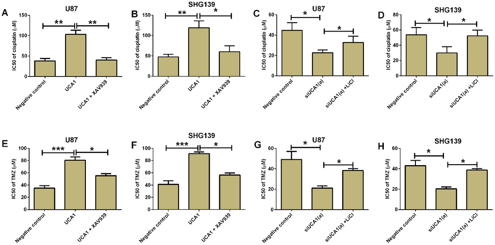 UCA1 promoted chemo-resistance in glioma cells. The IC50 of cisplatin for (A) U87 and (B) SHG139 cell lines in negative control (pcDNA3.1), UCA1 (pcDNA3.1-UCA1), and UCA1 (pcDNA3.1-UCA1) + XAV939 groups was determined by CCK-8 assay. The IC50 of cisplatin for (C) U87 and (D) SHG139 cell lines in negative control (scrambled siRNA), siUCA1(a), siUCA1(a) + LiCl groups was determined by CCK-8 assay. The IC50 of TMZ for (E) U87 and (F) SHG139 cell lines in negative control (pcDNA3.1), UCA1 (pcDNA3.1-UCA1), and UCA1 (pcDNA3.1-UCA1) + XAV939 groups was determined by CCK-8 assay. The IC50 of TMZ for (G) U87 and (H) SHG139 cell lines in negative control (scrambled siRNA), siUCA1(a), siUCA1(a) + LiCl groups was determined by CCK-8 assay. All the experiments were performed in triplicates. Significant differences compared to the control group were expressed as *P