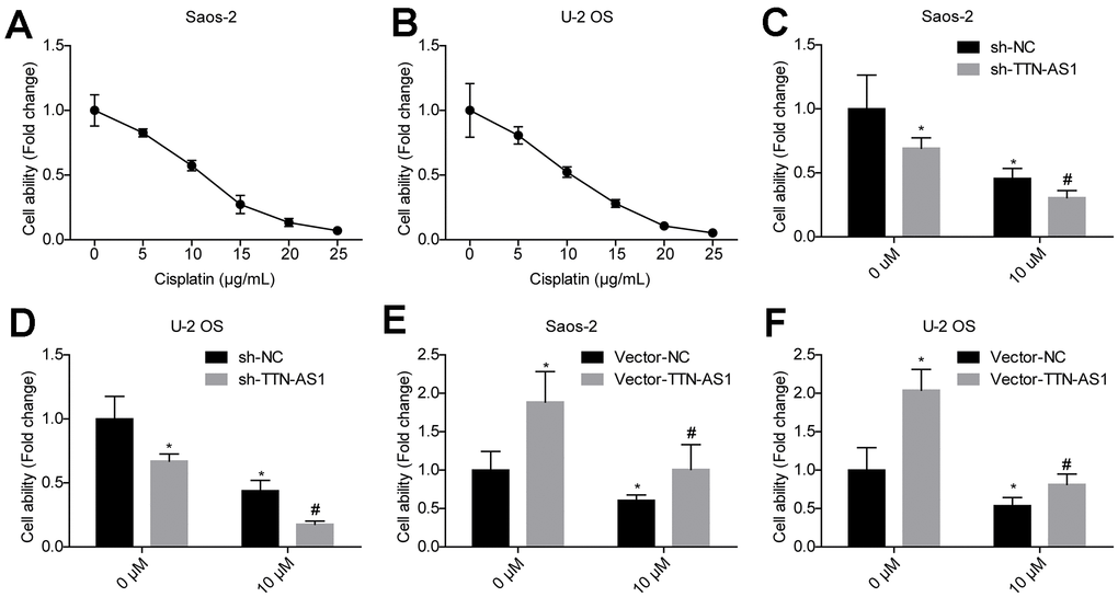 Downregulation of lncRNA TTN-AS1 reduces drug resistance. (A, B) The effects of different concentrations of cisplatin on the viability of osteosarcoma cells are shown. (C, D) Downregulation of lncRNA TTN-AS1 enhanced the inhibitory effects of cisplatin on osteosarcoma cells. (E, F) Upregulation of lncRNA TTN-AS1 attenuated the inhibitory effect of cisplatin on osteosarcoma cells. *P #P 