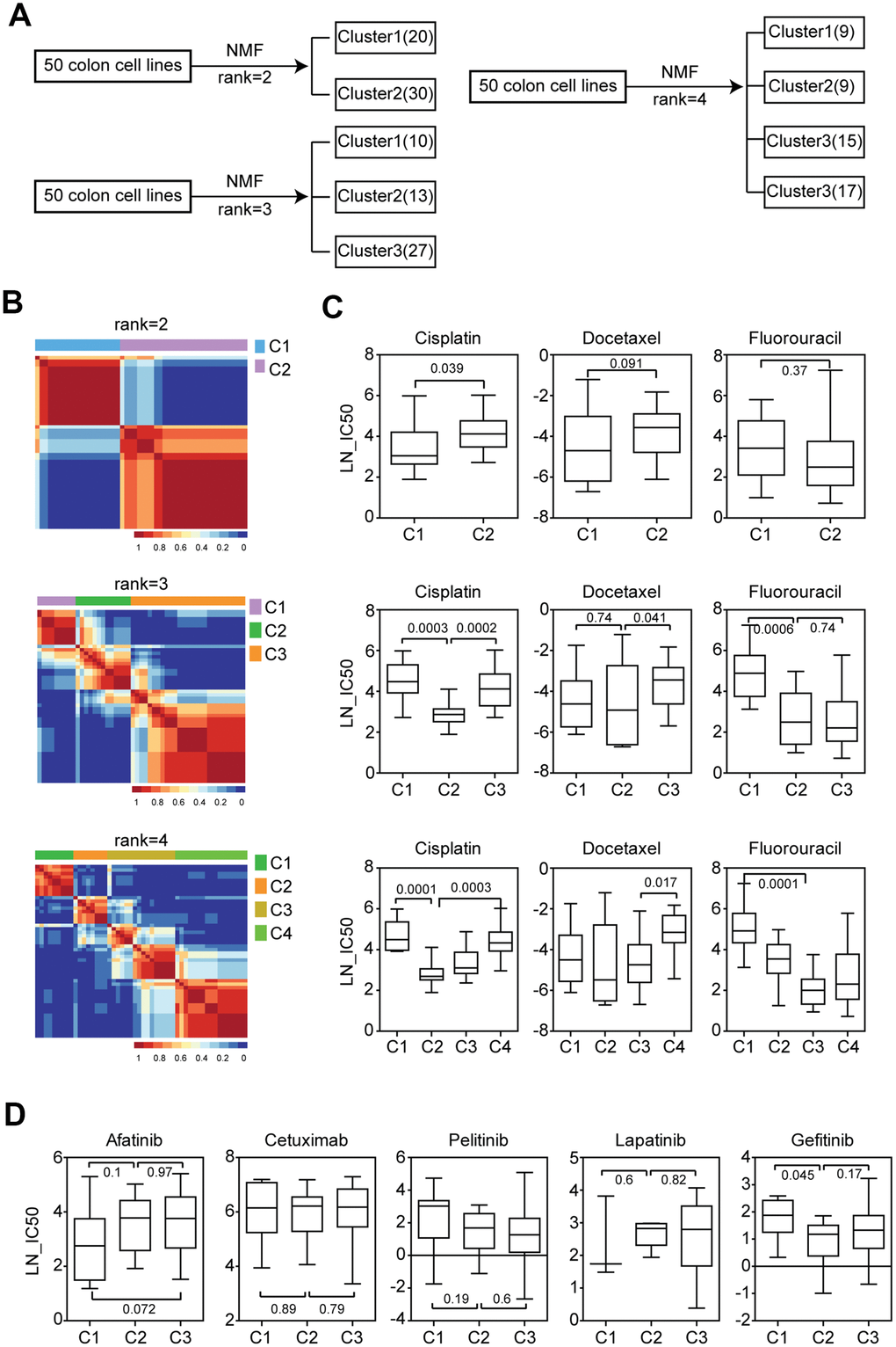 Chemo-sensitivity is different in the three sub-clusters of colon cancer cell lines classified by NMF. (A) Colon cancer cell lines were divided into two, three or four sub-clusters based on the gene expression profiling using NMF. Number of colon cancer cell lines in each sub-cluster was demonstrated. (B) Consensus maps showed the correlation profilings of colon cancer cell lines from two consensuses, three consensuses or four consensuses. (C) Box plots showed the LN-IC50 of chemotherapy drugs cisplatin, docetaxel and 5-Fluorouracil in each sub-cluster derived from two consensuses, three consensuses or four consensuses. (D) Box plots showed the LN-IC50 of EGFR inhibitors in each colon cancer sub-cluster derived from three consensuses.