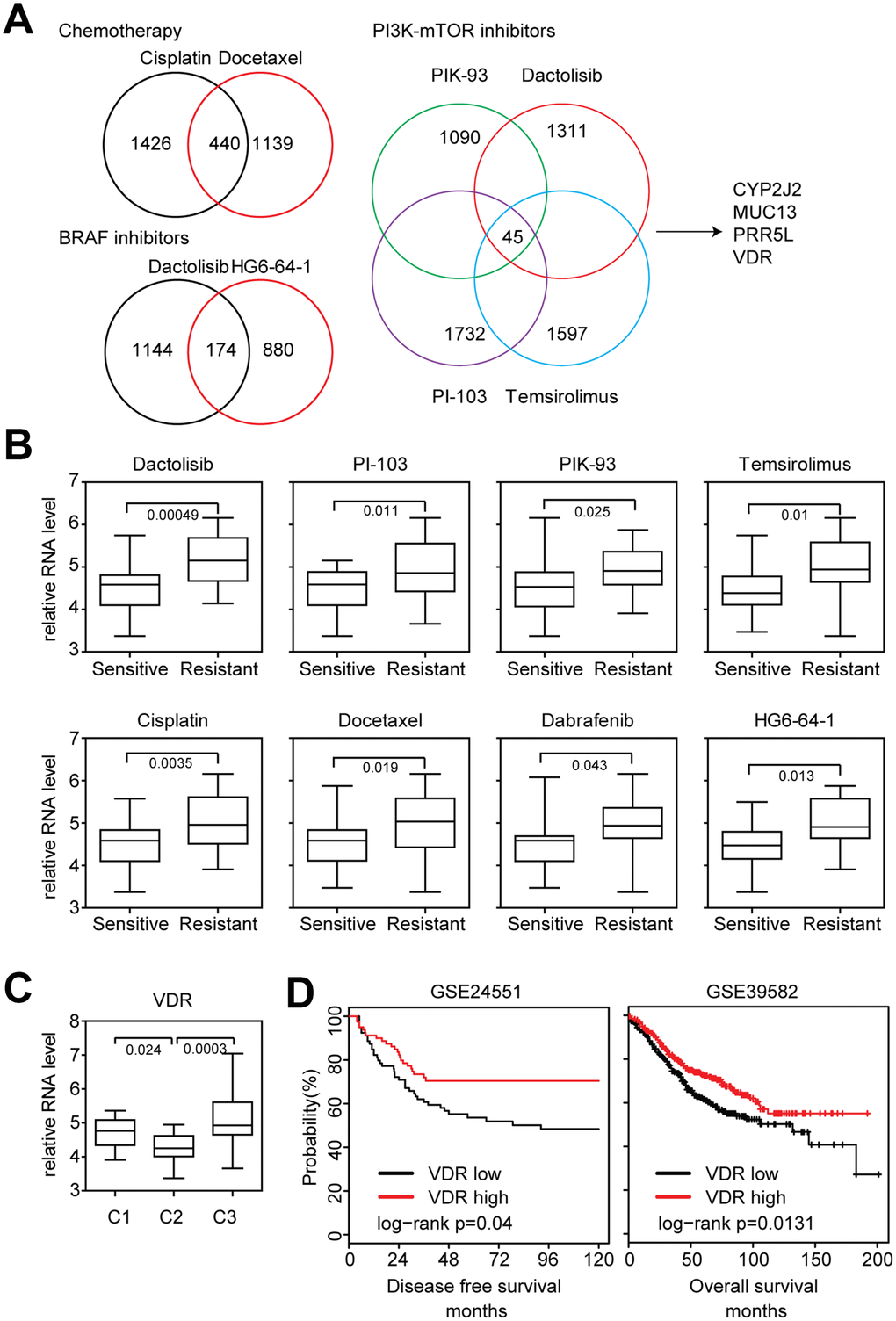 Lack of VDR expression is associated with the sensitivity of chemotherapy, BRAF inhibitors and PI3K-mTOR inhibitors. (A) Venny diagrams depicted the common genes associated with chemotherapy, BRAF inhibitors and PI3K-mTOR inhibitors sensitivity. (B) Box plots showed the VDR expression in chemotherapy, BRAF inhibitors, PI3K-mTOR inhibitors sensitive and resistant colon cancer cells. (C) Box plots showed the VDR expression in each sub-cluster of colon cancer cells. (D) Relationships of VDR expression and disease free survival or overall survival were analyzed from GSE24551 and GSE39582 datasets.