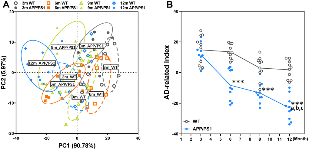 Principal component analysis (PCA) of WT and APP/PS1 mice based on the phenotype of cognitive and pathological character. PCA based on the data of behavioral experiment, LTP recording, immunohistochemical and Nissl staining of WT and APP/PS1 mice (A). Each axis was derived by principal component analysis. Each point represents one of WT and APP/PS1 mice, the number of each point represents month-age of mice. Component 1(variance explained: 90.78%), component 2 (variance explained: 5.97%) considered significant variance with a load below or equal to 0.50 (absolute value). PCA by SAS 9.2 statistics package, the significance level was set at P B). ***PaPbPcP