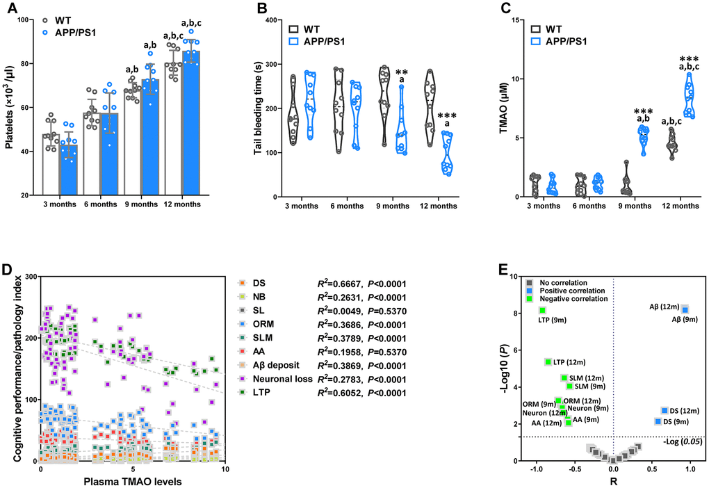 Age-related changes of hemostasis and circulating trimethylamine-N-oxide (TMAO) levels in WT and APP/PS1 mice. Mean count of WT and APP/PS1 mice platelets (A). Bleeding time measured after amputating the tail tip of WT and APP/PS1 mice (B). Circulating TMAO concentration in the plasma of WT and APP/PS1 mice (C). **PPaPbPcPD). Correlation between TMAO levels and cognitive performance/pathology index of WT and APP/PS1 mice (E). X and Y axis was derived by R and -Log (P), respectively. DS means the degree of senescence, ORM means object recognition memory, SLM means spatial learning and memory, AA means active avoidance, LTP means long-term potentiation. n=10.