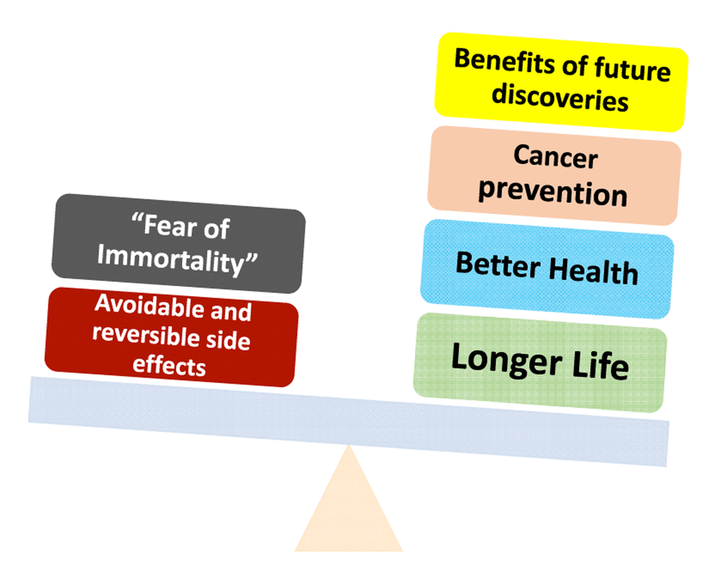 Potential risk vs benefits of rapamycin-based anti-aging therapy. Pros and Cons: Potential benefits of rapamycin may outweigh its risks.