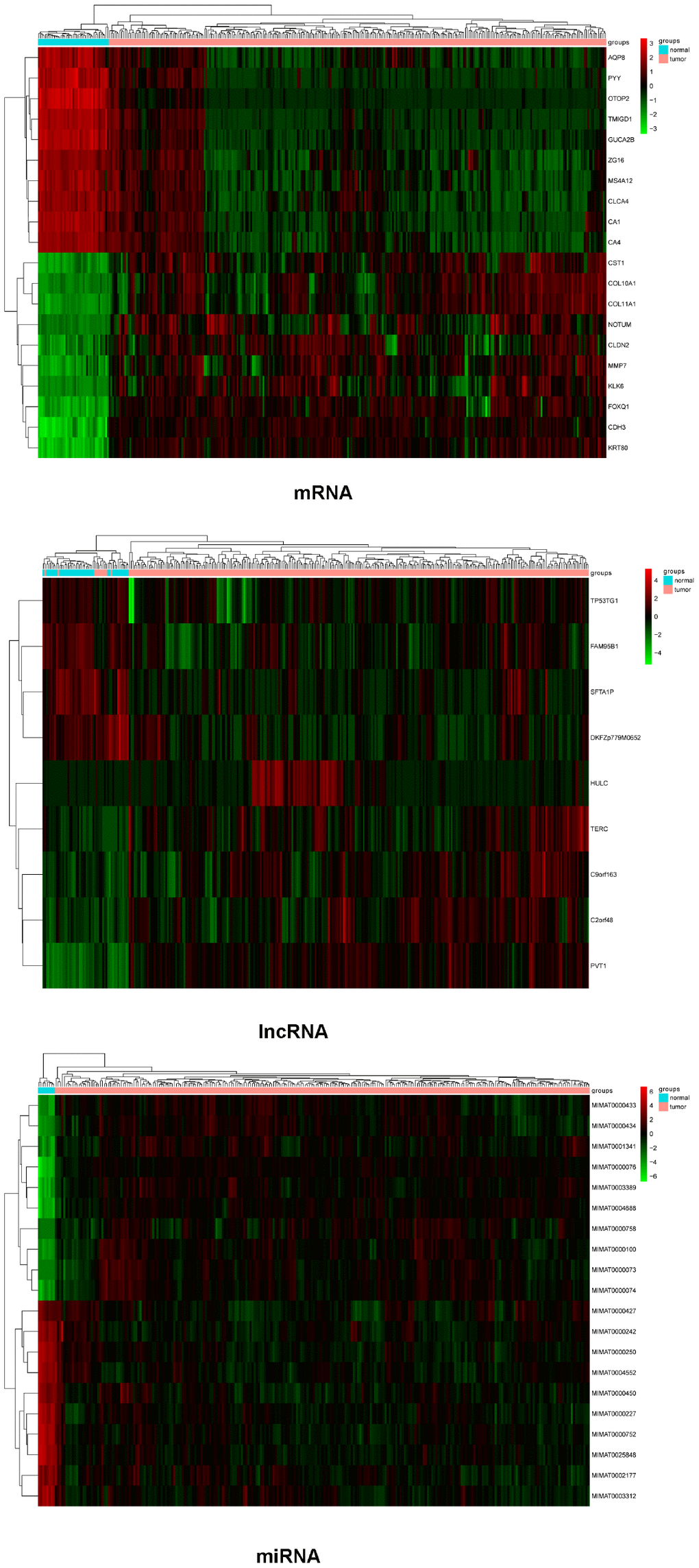 Heatmaps of differential expression mRNAs (top 10), lncRNAs, and miRNAs (top 10). Red represents high expression and green represents low expression.