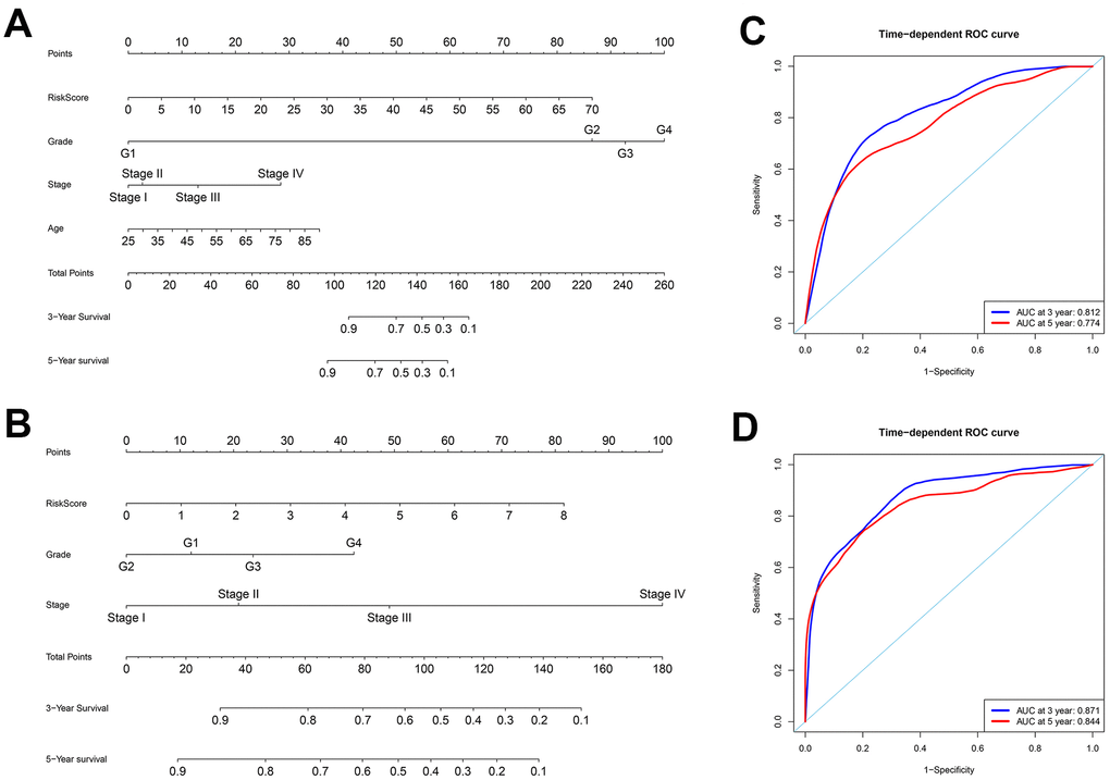 Construction of nomograms and ROC curve analysis of prognosis for ccRCC patients from the TCGA database. (A–B) The nomograms for (A) OS and (B) DFS are shown. (C–D) ROC curve analysis shows 3-year (blue) and 5-year (red) OS and the corresponding AUC values for the ccRCC patients from the TCGA database. (D) ROC curve analysis shows 3-year (blue) and 5-year (red) DFS and the corresponding AUC values for the ccRCC patients from the TCGA database.