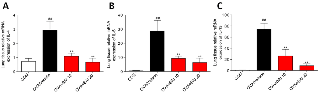 Baicalein inhibits OVA-induced IL-4, IL-5, and IL-13 expression at the mRNA level. The mRNA levels of IL-4 (A), IL-5 (B), and IL-13 (C) were determined by using RT-qPCR and were normalized to those of β-actin. (Results are presented as the mean ± SEM; n = 6 mice per group. ##P *P **P 