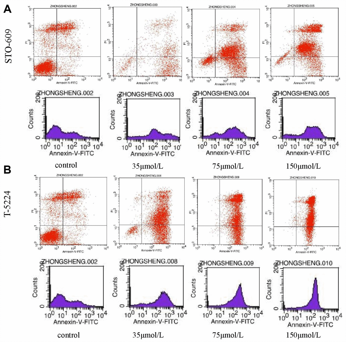 T5224, RSPO2 and AZD5363 are novel drugs against functional pituitary ...