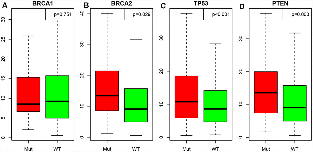 Correlation between the LCK metagene score and gene mutations. (A) BRCA1, (B) BRCA2, (C) TP53, (D) PTEN. Mut: mutant; WT: wild-type. Data are presented as the mean ± SEM.