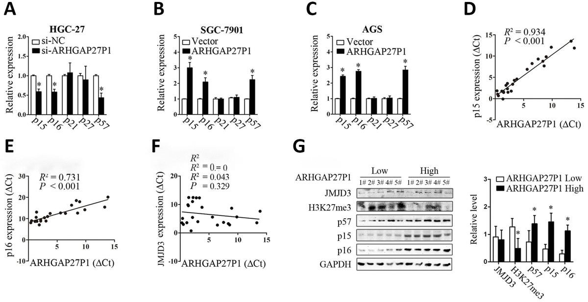 Circular Rna Circgramd1b Inhibits Gastric Cancer Progression By