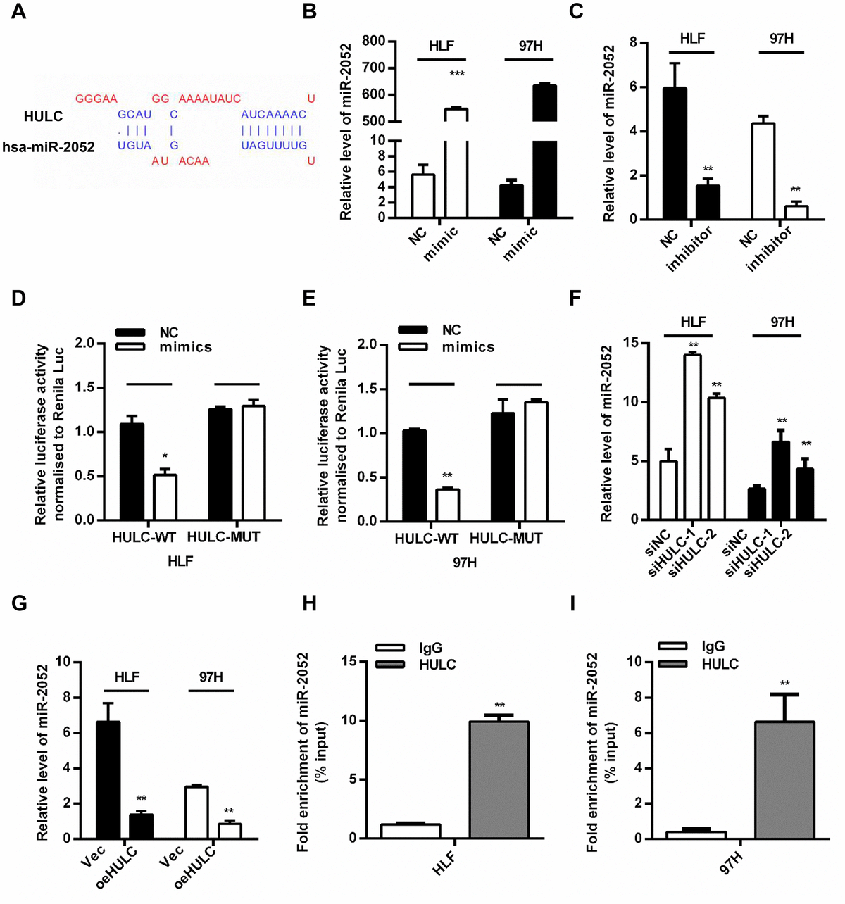 Long noncoding RNA HULC promotes hepatocellular carcinoma progression ...