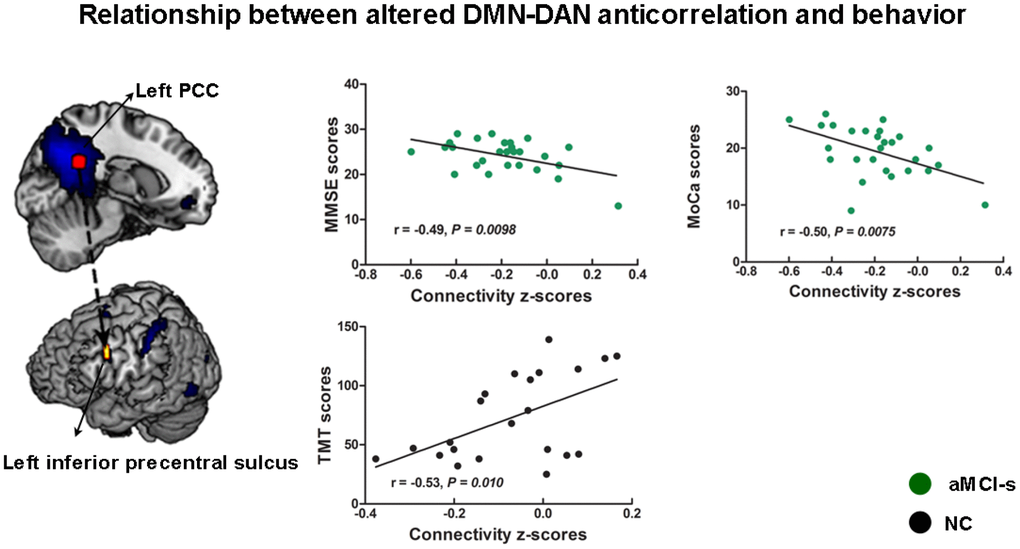 The relationship between cognitive performance and the altered anticorrelations between the DMN and DAN across the aMCI-s and NC groups. The connectivity strengths between the left PCC and left inferior precentral sulcus had correlations with the TMT scores, the MMSE scores and the MoCa scores. Brain maps of representative slices of related areas are also showed in the figure and colored dots represent their locations. Arrows are for illustrating purpose and do not imply directionality. Abbreviations: DMN: default mode network; DAN: dorsal attention network; PCC: posterior cingulate cortex; TMT: Trail-Making Test; MMSE: Mini-Mental State Examination; MoCa: Montreal Cognitive Assessment; aMCI-s: single-domain of amnestic mild cognitive impairment; NC: normal controls.