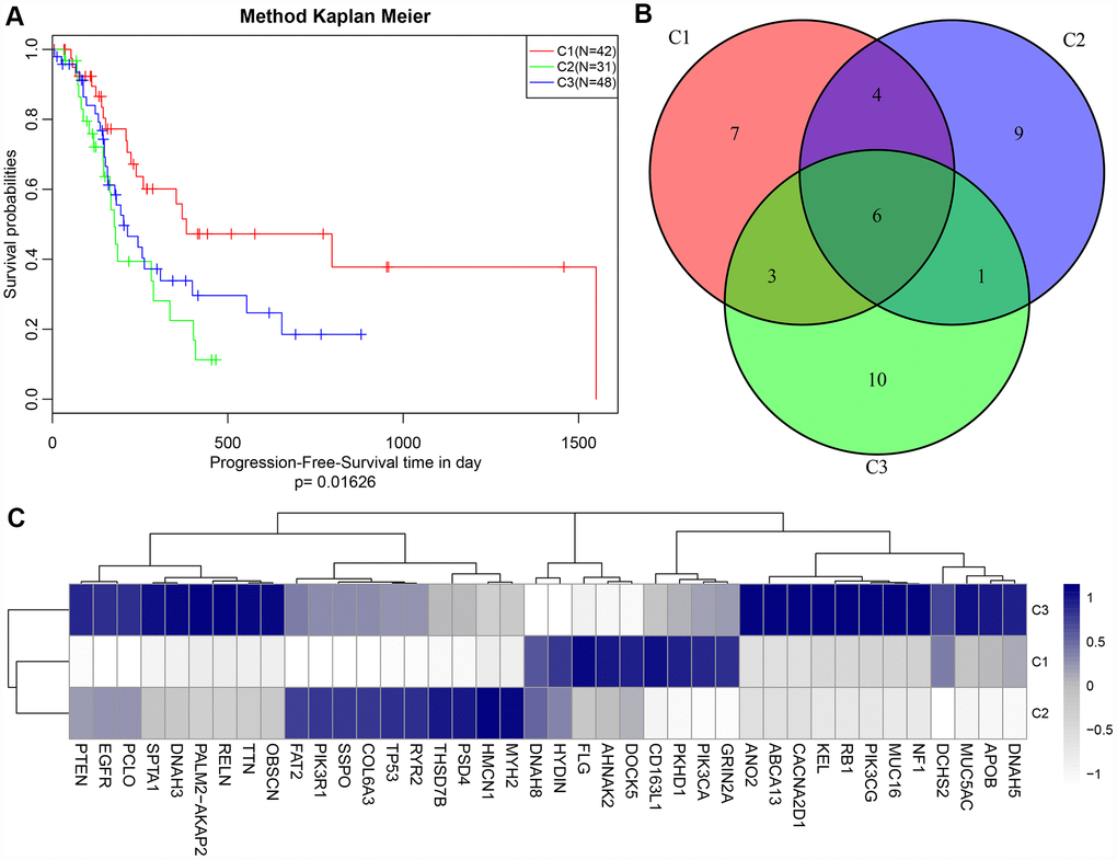(A) Kaplan-Meier (KM) curves of disease-free survival (DFS) for three subtypes, p = 0.01626; (B) Venn plot of the top 40 genes with most frequent mutations in each subtype. 6 genes overlapped in all three subtypes; (C) Heat map of top 40 genes with the highest mutation frequency in each subtype.