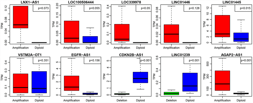 The expression of 10 lncRNAs with deletions and amplifications of genes in GBM patients. The P values show the significant level of the correlation coefficients between copy number variation and lncRNA expression.