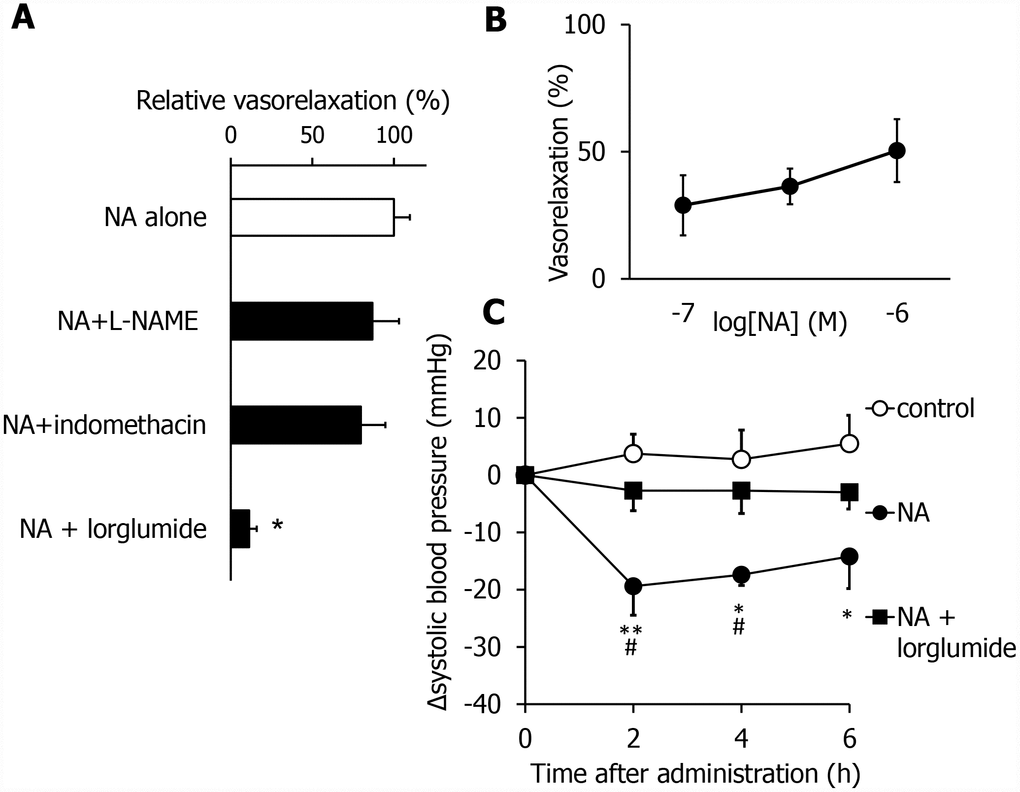 NA exhibits vasorelaxing and anti-hypertensive effects by activating the CCK system in SHR in the advanced stage. Effects of different inhibitors of vasorelaxing activity of NA (A). The dose dependency of the vasorelaxing activity of NA (B). NA-induced anti-hypertensive effects were blocked by lorglumide, an antagonist for the CCK receptor (C). Values are expressed as the means ± SEM (A, n = 3-4; B, n = 5-8; C, n=4-7). *P A). *P C).