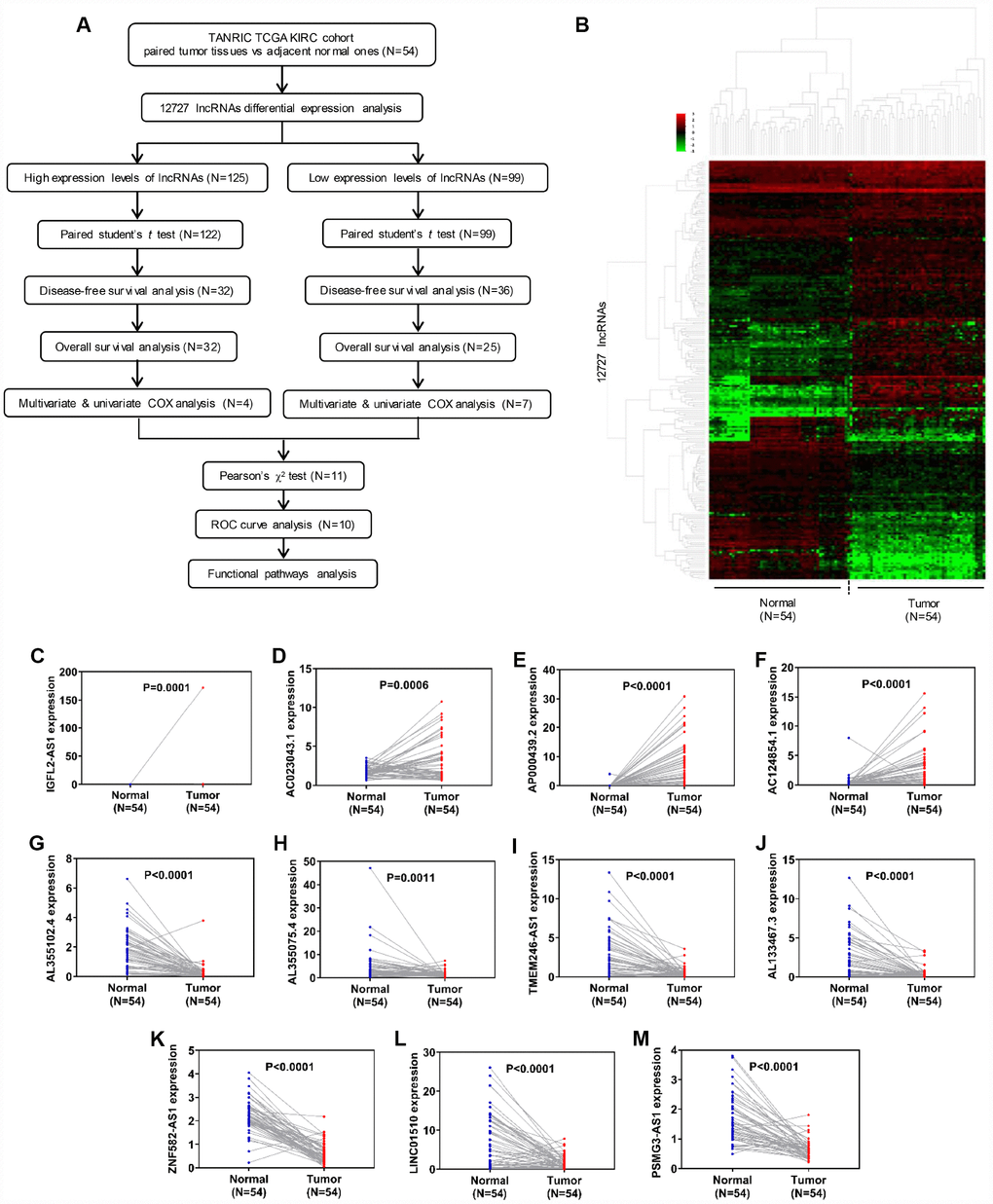 Identification of differentially expressed lncRNAs in clear cell renal cell carcinoma. (A) Flow chart of study design. (B) Hierarchical clustering heatmap analysis of 12,727 lncRNAs with 54 paired samples from the TANRIC database. (C–M) Paired student’s t-test of candidate lncRNA relative expression between 54 paired normal and tumor samples. lncRNAs, long non-coding RNAs.