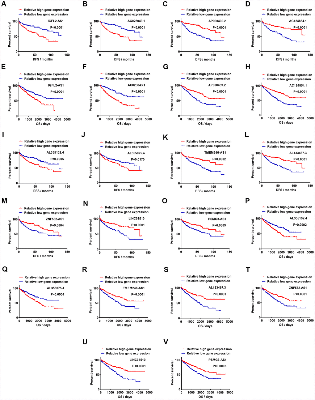 Candidate lncRNAs acts as potentially prognostic biomarkers for clear cell renal cell carcinoma. (A–D) Upregulated lncRNAs exhibited statistically significant difference between relative high gene expression and low expression in DFS. (E–H) Upregulated lncRNAs exhibited statistical difference in OS. (I–O) Downregulated lncRNAs exhibited statistical difference in DFS. (P–V) Downregulated lncRNAs exhibited statistical difference in OS. lncRNAs, long non-coding RNAs.