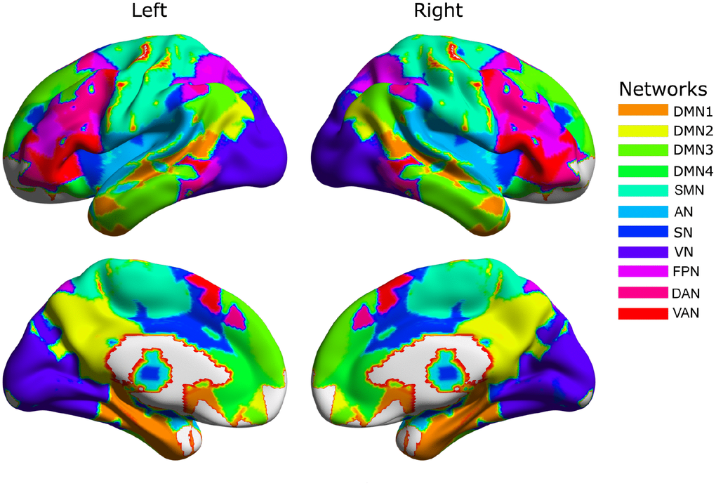 The group-level community structure. The default mode network (DMN) is divided into four major subdivisions: superior temporal cortex and medial temporal cortex (DMN1); precuneus, posterior cingulate cortex and lateral parietal cortex (DMN2); dorsal medial prefrontal cortex (DMN3); and ventral medial prefrontal cortex and lateral temporal cortex (DMN4). The remaining networks include the sensorimotor network (SMN), auditory network (AN), salience network (SN), visual network (VN), dorsal attention network (DAN), ventral attention network (VAN) and fronto-parietal network (FPN).