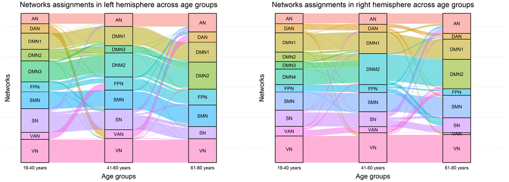Network assignment across three age groups. The left alluvial diagram indicates community reorganization of the left brain regions with age; the right alluvial diagram indicates community reorganization of the right brain regions with age. Each block represents a network, and each line corresponds to a brain region.
