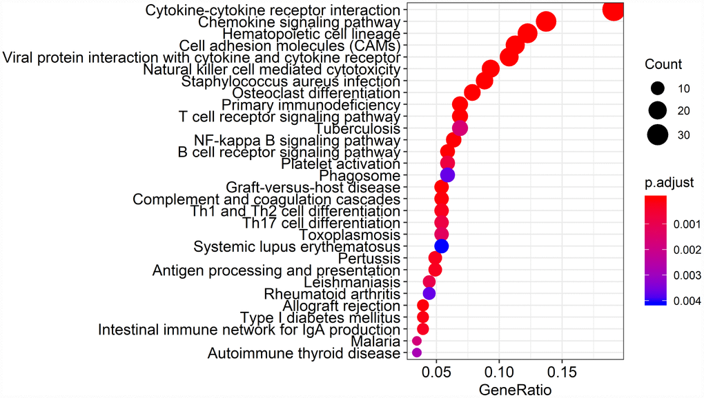 Kyoto Encyclopedia of Genes and Genomes (KEGG) analysis of the 384 intersection genes.