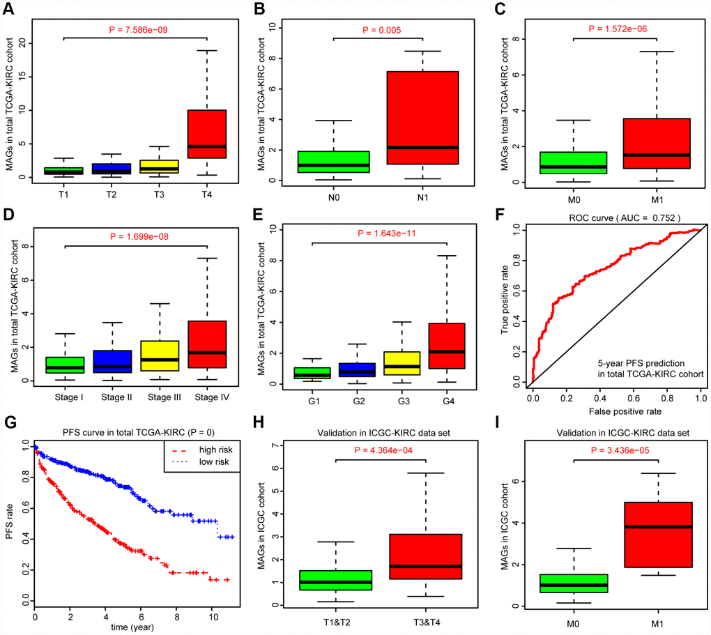 Correlation analysis between MAGs with other clinical variables and predictive efficiency of MAGs in PFS. (A–E) Kruskal-Wallis test revealed that increasing MAGs-score correlated with higher T stages (P = 7.586e-09), higher positive rate of lymph nodes (P = 0.005), advanced metastatic stages (P = 1.572e-06), poor pathological stages (P = 1.699e-08) and progressive tumor grades (P = 1.643e-11). (F, G) Moreover, the MAGs signature possessed superior significance in 5-year PFS prediction with AUC = 0.752 in total TCGA-KIRC cohort and patients with high MAGs-score suffered more hazards in tumor recurrence or progression with log-rank test of P = 0. (H, I) Correlation analysis of MAGs with T, M stages in ICGC validation cohort.