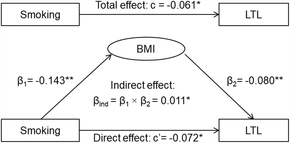General third variable model of smoking, BMI and LTL. β, c and c’ are standardized regression coefficients; c=total effect; c’=direct effect; β1=indirect effect 1; β2=indirect effect 2; βInd=total indirect effect; BMI=body mass index; LTL=leukocyte telomere length. * P