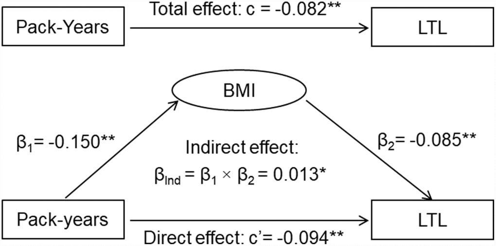 General third variable model of pack-years of smoking, BMI and LTL. β, c and c’ are standardized regression coefficients; c=total effect; c’=direct effect; β1=indirect effect 1; β2=indirect effect 2; βInd=total indirect effect; BMI=body mass index; LTL=leukocyte telomere length. * P