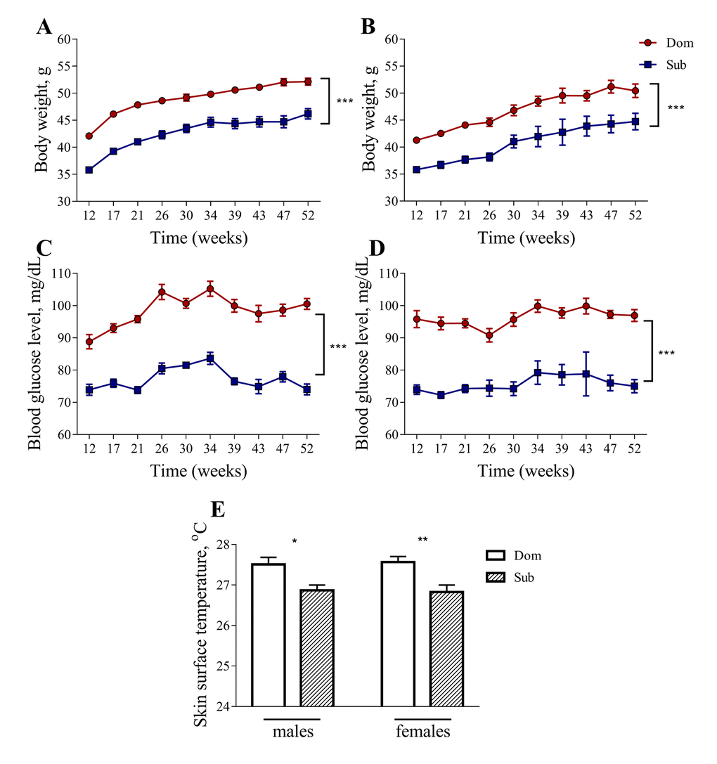 Body weight, blood glucose level and skin surface temperature in Dom and Sub mice. The body weight (males (A), females (B)) and blood glucose level (males (C), females (D) are significantly higher in Dom mice (two-way ANOVA, pE) was observed in stress sensitive Sub male (Student unpaired two-tailed t-test, t=2.653, pt-test, t=3.335, ppp