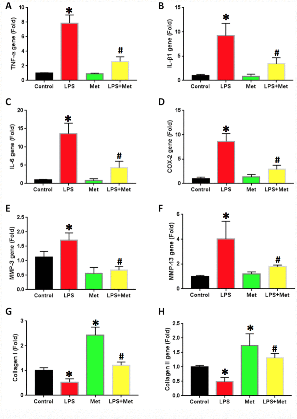 Metformin inhibited the inflammatory gene expression in rabbit AF cells induced by LPS. (A) TNF-a gene expression. (B) IL-b1 gene expression. (C) COX-2 gene expression. (D) IL-6 gene expression. (E) MMP-3 gene expression. (F) MMP-13 gene expression. (G) Collagen I gene expression. (H) Collagen II gene expression. LPS increased the expression of all tested inflammatory-related genes and MMPs, but decreased the levels of collagen type I and type II. The LPS effect was inhibited by metformin. *p#p