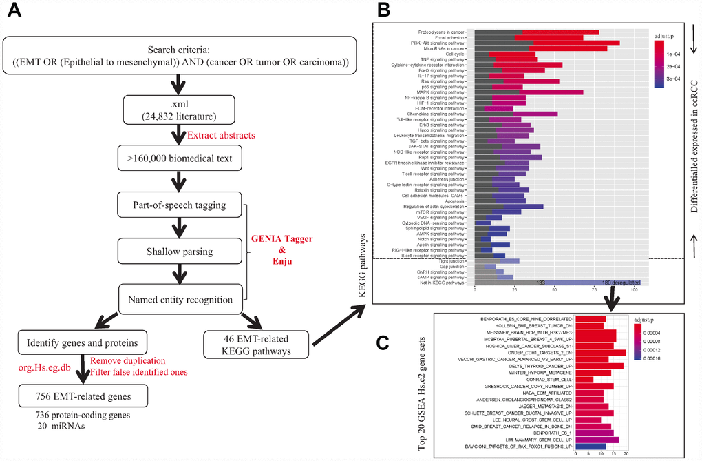 The workflow of identification of EMT-related genes and pathways in cancers. (A) Text-mining of literatures associated with EMT from PubMed database. (B) KEGG pathway enrichment of identified EMT-related genes. (C) Gene set enrichment analysis for EMT-related genes not included in KEGG pathway using Molecular Signature Database Hs.c2 gene sets.