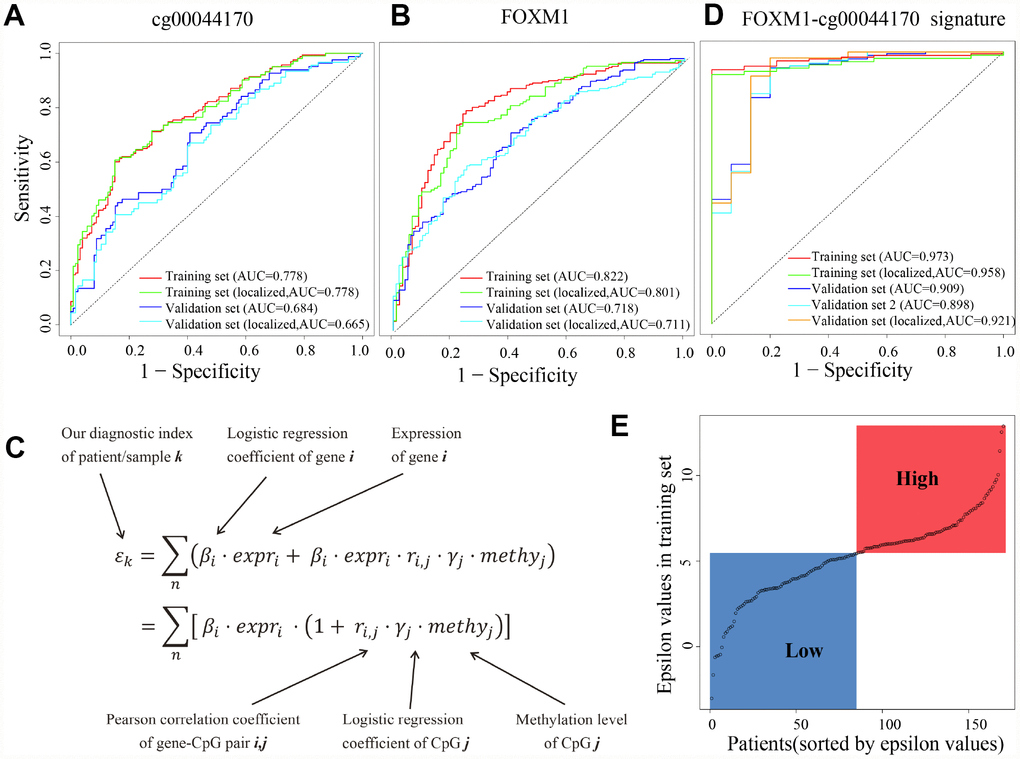cg00044170, FOXM1 and the hybrid signature for diagnosis of ccRCC. (A) Receiver operating characteristic (ROC) curves of eQTM (cg00044170 of FOXM1) in classifying all/localized tumors and normal. (B) ROC curves of FOXM1 (C) The calculation of epsilon value to simultaneously consider expression of genes and methylation of eQTMs. (D) ROC curves of eQTM-gene hybrid signature (cg00044170 and FOXM1) in classifying all/localized tumors and normal. (E) The distribution of epsilon values of patients in the training set. The median epsilon value was used as cut-off point to divide ccRCC patients into high- and low-group. The datasets named “tumors” (the whole dataset) are stage I/II tumors and stage III/IV tumors, while the datasets named “localized tumors” (the subset) are stage I/II tumors.