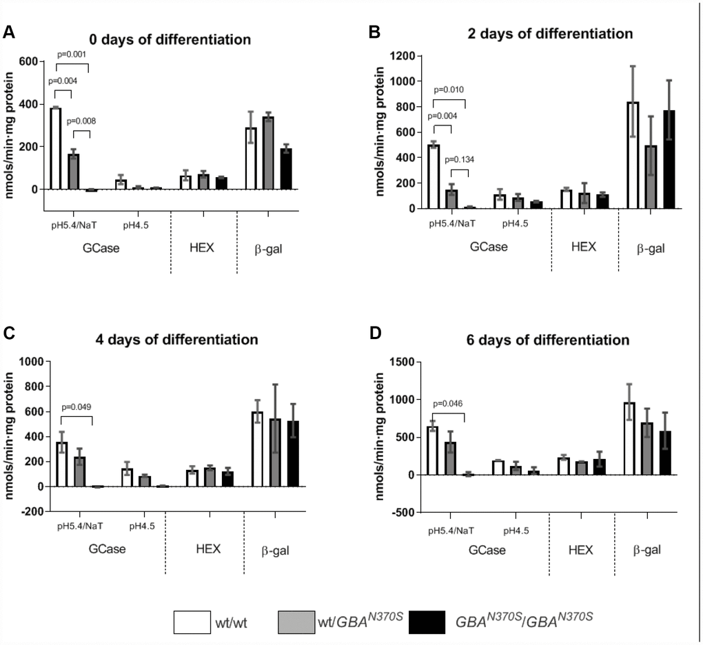 GCase, HEX and β-gal enzymatic activities stabilized from 0 to 6 days of differentiation. GCase activity decreased as expected for the respective genotypes (33% decrease in wt/N370SGBA and 98% decrease in N370SGBA/N370SGBA) when measured at pH 5.4 in the presence of sodium taurocholate. Measurement of GCase at pH 4.5 in the absence of the GCase activator sodium taurocholate yielded similar results, while HEX and β-gal were unaffected. Results are expressed by mean± SEM.