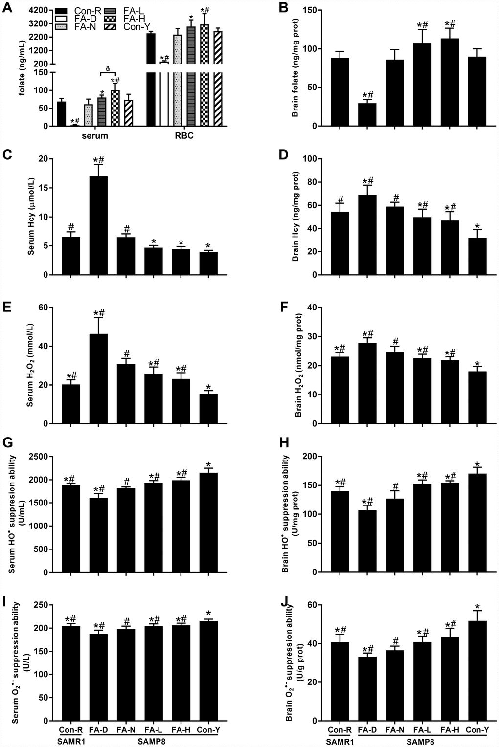 Dietary folic acid (FA) supplementation raised folate concentrations and decreased reactive oxygen species (ROS) levels in Senescence Accelerated Mouse Prone 8 (SAMP8) mice. Aged SAMP8 mice were assigned to four treatment groups: FA-deficient diet (FA-D) group, FA-normal diet (FA-N) group, low FA-supplemented diet (FA-L) group, and high FA-supplemented diet (FA-H) group. There were also an age-matched senescence-accelerated mouse resistant 1 (SAMR1) control group (Con-R), and a young SAMP8 control group (Con-Y), both of which were fed with FA-normal diet. Folate concentrations were detected in serum [F(5,54) = 65.507, PF(5,54) = 39.041, PA) and brain [F(5,54) = 64.878, PB). Hcy concentrations were detected in serum [F(5,54) = 250.012, PC) and brain [F(5,54) = 29.529, PD). ROS levels were indicated by H2O2 levels in serum [F(5,54) = 64.322, PE) and brain [F(5,54) = 44.100, PF), HO• suppression abilities in serum [F(5,54) = 71.992, PG) and brain [F(5,54) = 65.702, PH), and O2• – suppression abilities in serum [F(5,54) = 26.796, PI) and brain [F(5,54) = 30.031, PJ). Data are expressed as mean ± standard deviation (SD) (n= 10 mice/group). *P#P&P